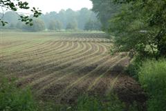 Farming is straightforward...