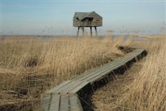 Floods are not a problem...